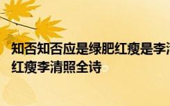 知否知否应是绿肥红瘦是李清照的那首诗 知否知否应是绿肥红瘦李清照全诗