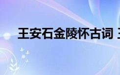 王安石金陵怀古词 王安石的诗金陵怀古