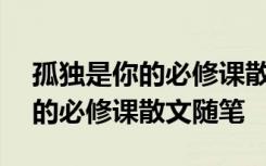 孤独是你的必修课散文随笔600字 孤独是你的必修课散文随笔