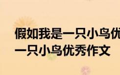 假如我是一只小鸟优秀作文400字 假如我是一只小鸟优秀作文