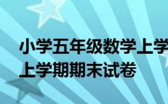 小学五年级数学上学期期末试卷 小学五年级上学期期末试卷