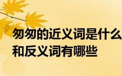 匆匆的近义词是什么 标准答案 匆匆的近义词和反义词有哪些