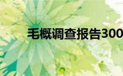 毛概调查报告3000字 毛概调查报告