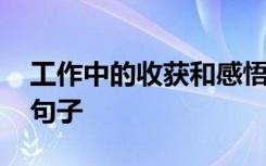 工作中的收获和感悟说说 工作中收获与感悟句子