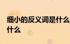 细小的反义词是什么 二年级 细小的反义词是什么