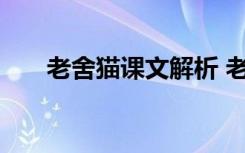 老舍猫课文解析 老舍猫语文课文解读