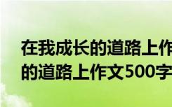 在我成长的道路上作文500字左右 在我成长的道路上作文500字