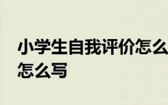 小学生自我评价怎么写50字 小学生自我评价怎么写