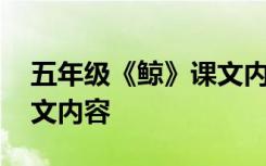 五年级《鲸》课文内容解读 五年级《鲸》课文内容