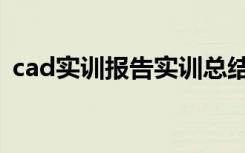 cad实训报告实训总结300字 CAD实训报告