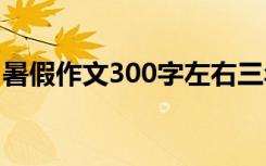 暑假作文300字左右三年级 暑假里作文300字