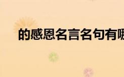 的感恩名言名句有哪些 的感恩名言名句