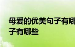 母爱的优美句子有哪些三年级 母爱的优美句子有哪些