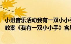 小班音乐活动我有一双小小手教学反思 幼儿园小班音乐优秀教案《我有一双小小手》含反思