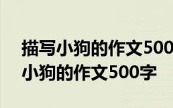 描写小狗的作文500字左右四年级下册 描写小狗的作文500字