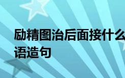 励精图治后面接什么成语 用励精图治这个成语造句