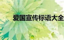 爱国宣传标语大全100 爱国宣传口号