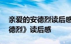 亲爱的安德烈读后感600字初中 《亲爱的安德烈》读后感