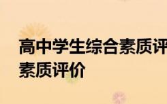 高中学生综合素质评价表模板 高中学生综合素质评价