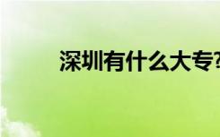 深圳有什么大专? 深圳有什么大专