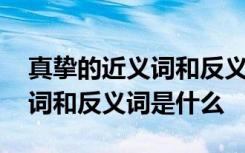 真挚的近义词和反义词是什么呢 真挚的近义词和反义词是什么