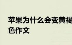 苹果为什么会变黄褐色作文 苹果为什么会变色作文