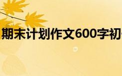 期末计划作文600字初一 期末计划作文600字