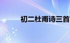 初二杜甫诗三首 初二杜甫诗翻译