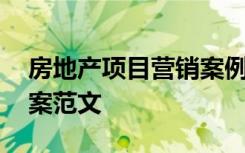 房地产项目营销案例 房地产项目营销策划方案范文