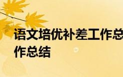 语文培优补差工作总结报告 语文培优补差工作总结