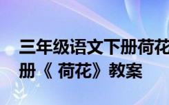 三年级语文下册荷花优秀教案 三年级语文下册《 荷花》教案