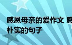 感恩母亲的爱作文 感恩母爱作文_感恩母爱最朴实的句子