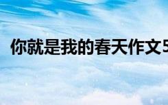 你就是我的春天作文500字 春天作文500字