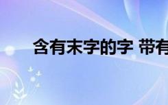 含有末字的字 带有末字的成语及解释