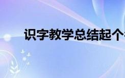 识字教学总结起个名字 识字教学总结