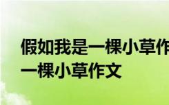 假如我是一棵小草作文400字作文 假如我是一棵小草作文