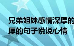 兄弟姐妹感情深厚的词 表示兄弟姐妹感情深厚的句子说说心情