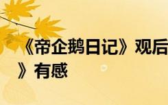 《帝企鹅日记》观后感50字 观《帝企鹅日记》有感