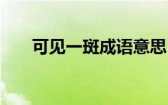 可见一斑成语意思 可见一斑成语解释