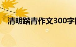 清明踏青作文300字四年级 清明踏青作文