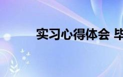 实习心得体会 毕业实习心得体会