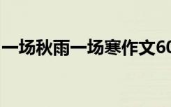 一场秋雨一场寒作文600 一场秋雨作文600字