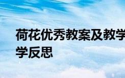 荷花优秀教案及教学反思 荷花 教学反思_教学反思