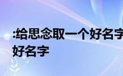 :给思念取一个好名字怎么取 ：给思念取一个好名字