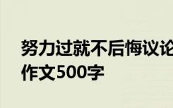 努力过就不后悔议论文900 努力过就不后悔作文500字