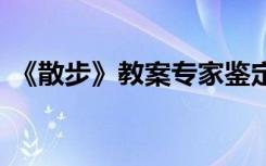 《散步》教案专家鉴定评价语 《散步》教案