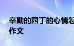 辛勤的园丁的心情怎么写 辛勤的园丁500字作文