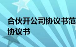 合伙开公司协议书范本 二人 合伙开公司合作协议书