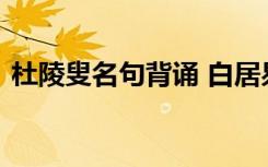 杜陵叟名句背诵 白居易古诗《杜陵叟》赏析