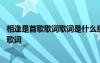 相逢是首歌歌词歌词是什么意思 相逢是首歌歌词相逢是首歌歌词